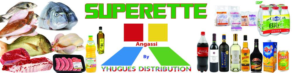 Logo ANGASSI